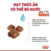 (4Kg) Hạt Cho Mèo Con Royal Canin Mother & BabyCat