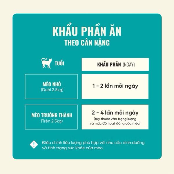 Thịt Sấy Cho Mèo Cao Cấp Bite Of Wild 40g
