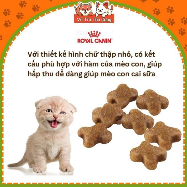 (4Kg) Hạt Cho Mèo Con Royal Canin Mother & BabyCat