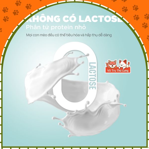 Pate Sữa Dê Cho Mèo Tốt Cho Tiêu Hóa PetQ 70g