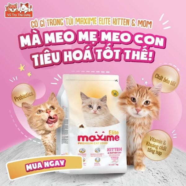 Hạt Cho Mèo Maxime Cao Cấp Hỗ Trợ Tiết Niệu Và Cân Bằng Dinh Dưỡng