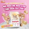 Hạt Cho Mèo Maxime Cao Cấp Hỗ Trợ Tiết Niệu Và Cân Bằng Dinh Dưỡng
