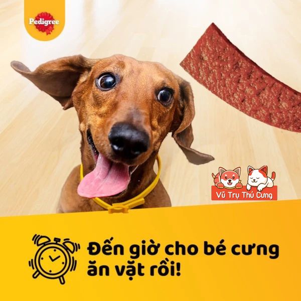 Bánh Thưởng Cho Chó Pedigree Schmackos 70g2