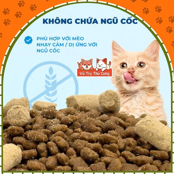 Hạt Cho Mèo MRVET G1 Không Chứa Ngũ Cốc Mix Topping Gói 1KG (Tặng Súp Thưởng)2