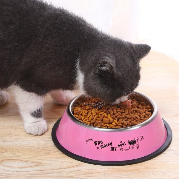 Bát Ăn Inox Hoạ Tiết Màu Sắc Cho Chó Mèo