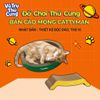 Bàn Cào Móng Cho Mèo Cattyman Thương Hiệu Nhật Bản