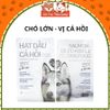 Thức Ăn Hạt Cho Chó Bổ Sung Dầu Cá Hồi King Pet