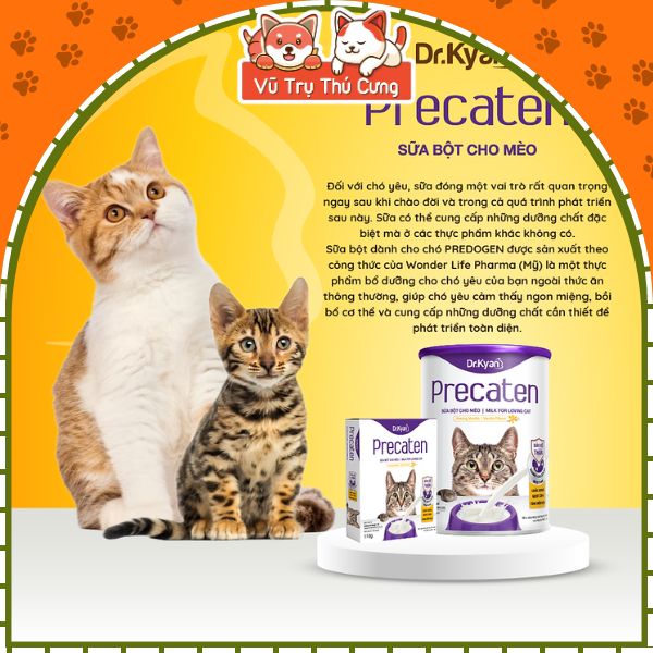 Sữa bột dinh dưỡng Dr Kyan Precaten cho Mèo hộp 100g