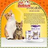 Sữa bột dinh dưỡng Dr Kyan Precaten cho Mèo hộp 100g