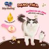 Súp Thưởng Cho Mèo Silver Spoon Thái Lan Không Ngũ Cốc, Giàu Đạm (Túi 4 Thìa)