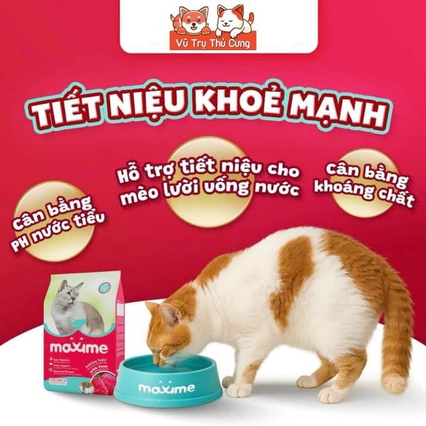 Hạt Cho Mèo Maxime Cao Cấp Hỗ Trợ Tiết Niệu Và Cân Bằng Dinh Dưỡng