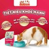 Hạt Cho Mèo Maxime Cao Cấp Hỗ Trợ Tiết Niệu Và Cân Bằng Dinh Dưỡng