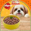 Pate cho chó Pedigree, Thái Lan, Thức ăn ướt cho Chó