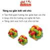 Đồ Chơi Cho Thú Cưng Banh Cao Su Đan 3 Màu Doggyman