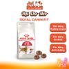 (400g) Hạt Cho Mèo Royal Canin Kitten, MotherBabycat, Indoor, Fit32, HairBall, HairSkin, Shorthair