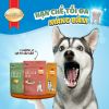 Bánh Thưởng Cho Chó SmartHeart Từ Thịt & Rau Củ 100g2