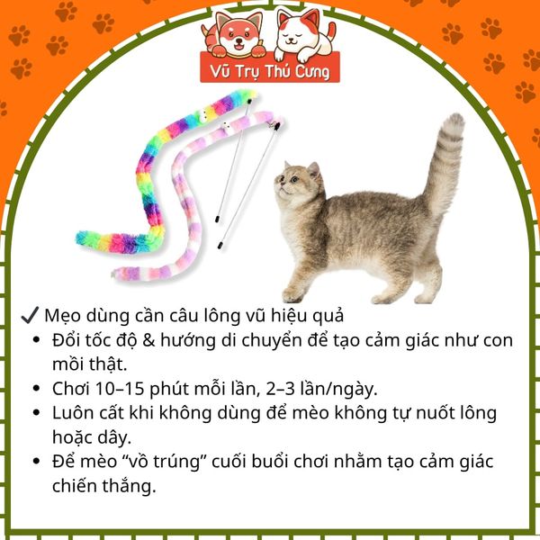Đồ Chơi Cho Mèo Cần Câu Hình Con Sâu Lông Cầu Vồng Giúp Giảm Stress2