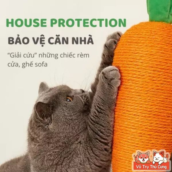 Bàn Cào/ Trụ Cào Móng Cho Mèo Hình Quả Cà Rốt Thương Hiệu FoFos