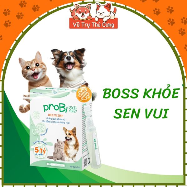 Men Vi Sinh Vemedim Cho Chó Mèo Probi 28 , Tăng Cường Hấp Thu Dinh Dưỡng 5ml