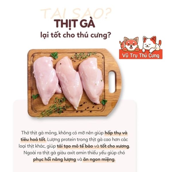 Thức Ăn Hạt Mềm Cho Chó ANF, Soft Balance Hàn Quốc