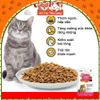 (1Kg) Thức Ăn Hạt Today Dinner Cho Mèo Mọi Lứa Tuổi