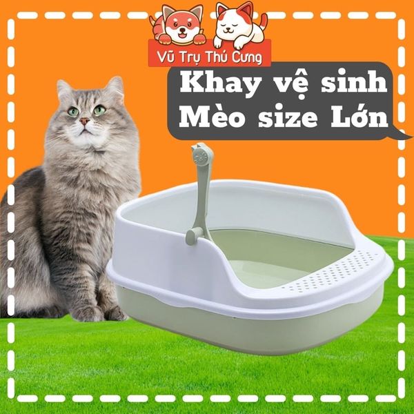 Khay đựng cát vệ sinh cho Mèo size lớn, chống văng cát, kèm xẻng xúc phân