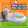 Khay đựng cát vệ sinh cho Mèo size lớn, chống văng cát, kèm xẻng xúc phân