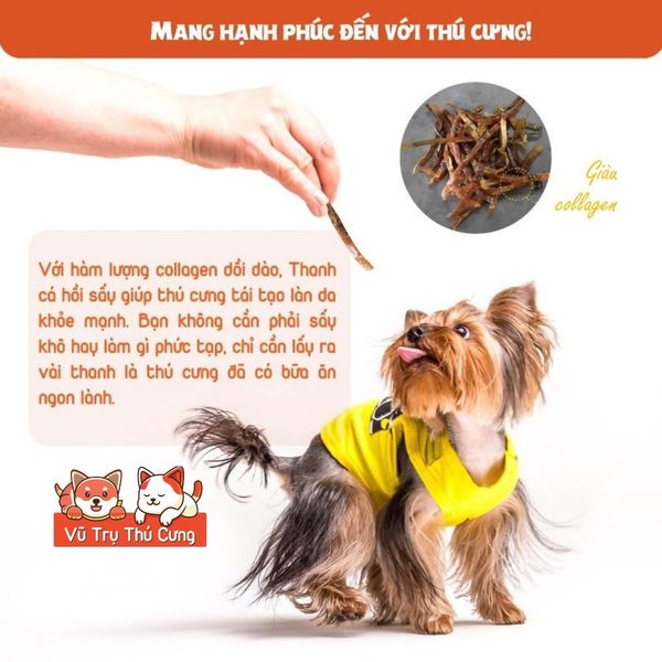 Snack cho chó Natural Core vị cá hồi sấy dinh dưỡng 45g