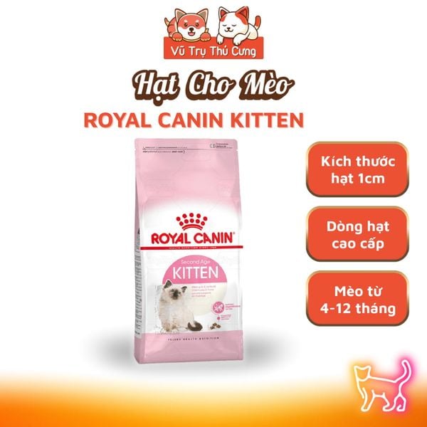 (400g) Hạt Cho Mèo Royal Canin Kitten, MotherBabycat, Indoor, Fit32, HairBall, HairSkin, Shorthair