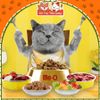 Thức Ăn Hạt Cho Mèo Me-O Đến Từ Thái Lan Nhiều Hương Vị, Giàu Dinh Dưỡng