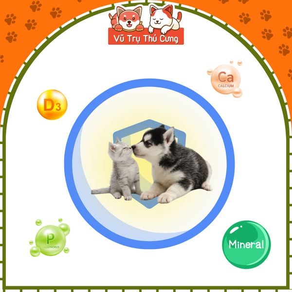 Gel Bổ Sung Canxi Dạng Nước Cho Chó Mèo Bossen Calcium Delight2