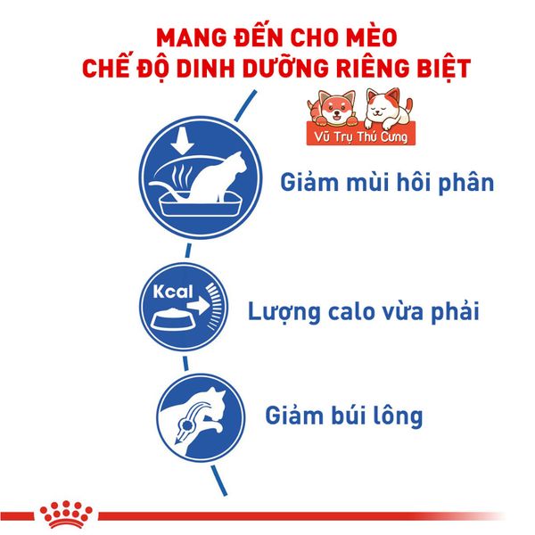 (Nguyên Seal) Thức ăn hạt cho Mèo trưởng thành Royal Canin Indoor 2Kg