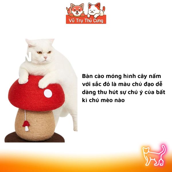 Bàn Cào/ Trụ Cào Móng Cho Mèo Hình Quả Nấm FOFOS