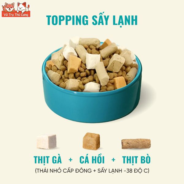 Thức Ăn Cho Mèo Bite Of Wild P42 Không Độn Ngũ Cốc, Hàm Lượng Protein 42%, Giúp Mèo Tăng Cân