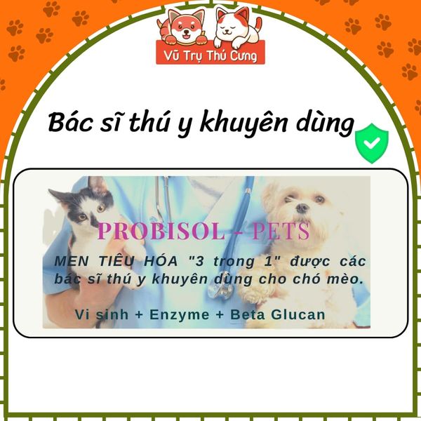 Combo Hộp 50 Gói Men Tiêu Hóa Cho Chó Mèo Probisol 5g2