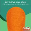 Bàn Cào/ Trụ Cào Móng Cho Mèo Hình Quả Cà Rốt Thương Hiệu FoFos