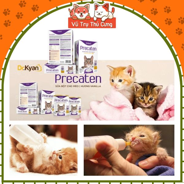 Sữa bột dinh dưỡng Dr Kyan Precaten cho Mèo hộp 100g