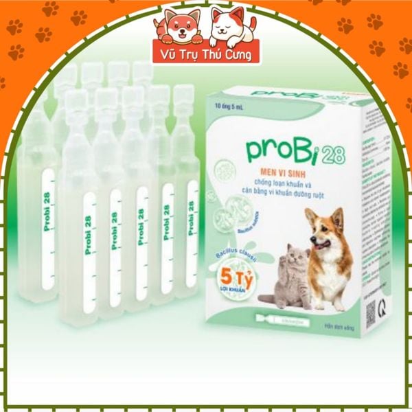 Men Vi Sinh Vemedim Cho Chó Mèo Probi 28 , Tăng Cường Hấp Thu Dinh Dưỡng 5ml