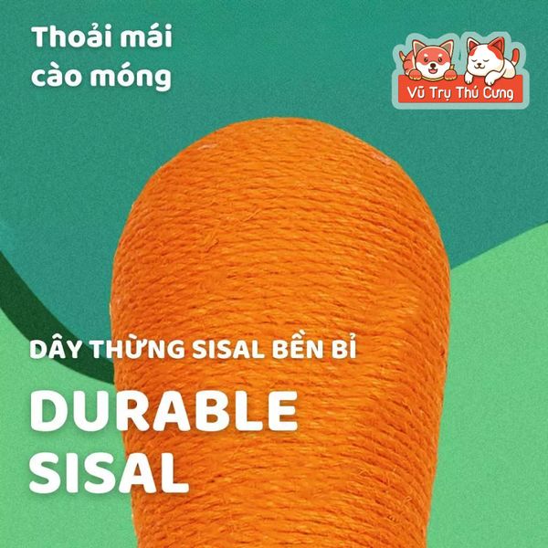 Bàn Cào/ Trụ Cào Móng Cho Mèo Hình Quả Cà Rốt Thương Hiệu FoFos