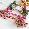 Đồ Chơi Dây Thừng Gặm Sạch Răng Cho Chó (màu ngẫu nhiên)