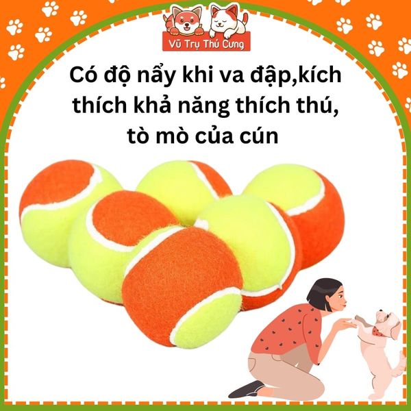 Đồ chơi cho Chó gặm hình bóng Tenis FOFOS (1 Banh Lẻ)