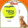 Đồ chơi cho Chó gặm hình bóng Tenis FOFOS (1 Banh Lẻ)