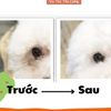 Khăn Ướt Lau Mắt Cho Thú Cưng SOS 100 miếng