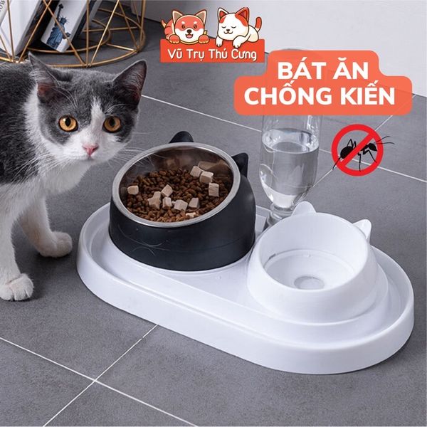Bát Ăn Chống Kiến Và Chống Gù Lưng Cho Chó Mèo Kèm Bình Nước Tự Động