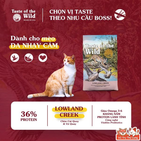 Hạt Cho Mèo Taste Of The Wild Cao Cấp Túi 2KG Sản Xuất Tại Mỹ, Giàu Omega Và Hàm Lượng Đạm Cao