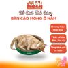 Bàn Cào Móng Cho Mèo Cattyman Thương Hiệu Nhật Bản