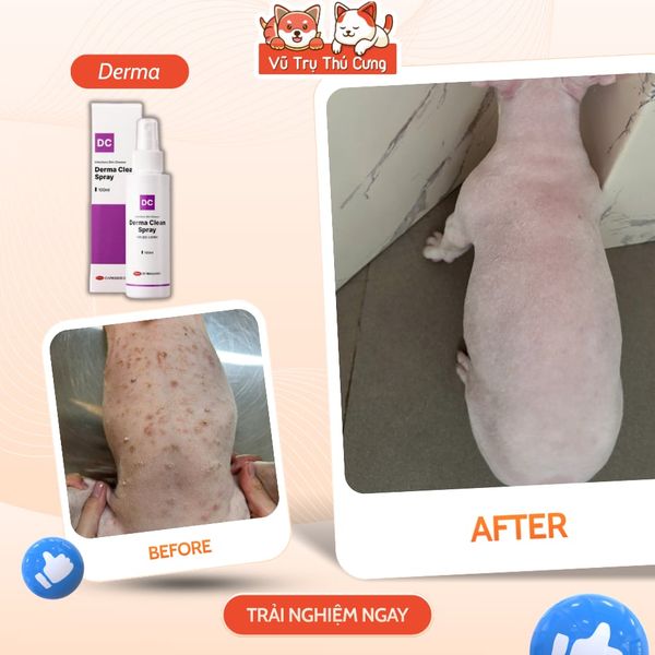 Xịt Nấm Da Derma Clean Spray Cho Chó Mèo 100ML - Thương Hiệu CareSide