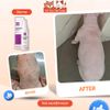 Xịt Nấm Da Derma Clean Spray Cho Chó Mèo 100ML - Thương Hiệu CareSide
