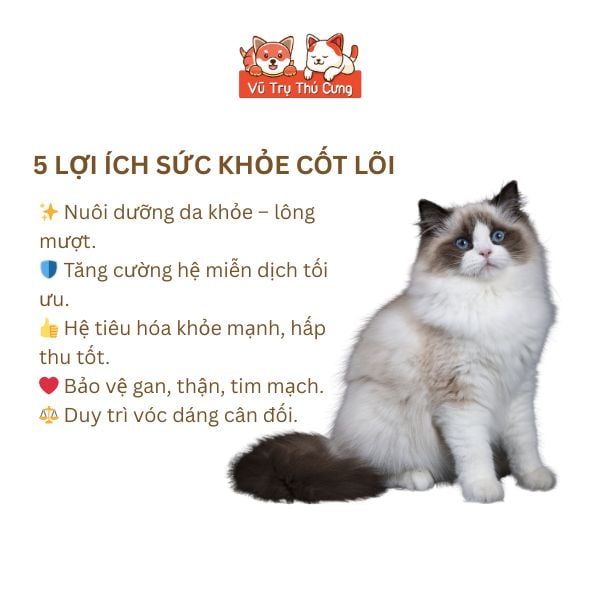 Thức Ăn Hạt Cho Mèo Bite Of Wild Farm 1,5kg Vị Cá Hồi, Mượt Lông Da, Không Ngũ Côc, Topping Thịt Sấy2