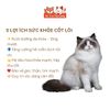 Thức Ăn Hạt Cho Mèo Bite Of Wild Farm 1,5kg Vị Cá Hồi, Mượt Lông Da, Không Ngũ Côc, Topping Thịt Sấy2